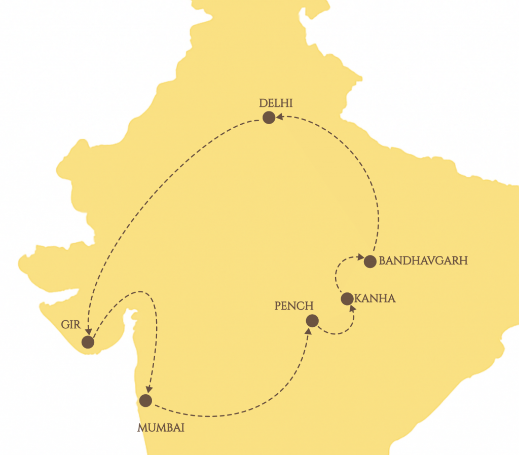 TheWildDuoSafariCircuitPlaces